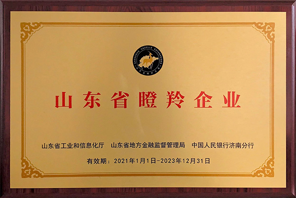 山东省瞪羚企业