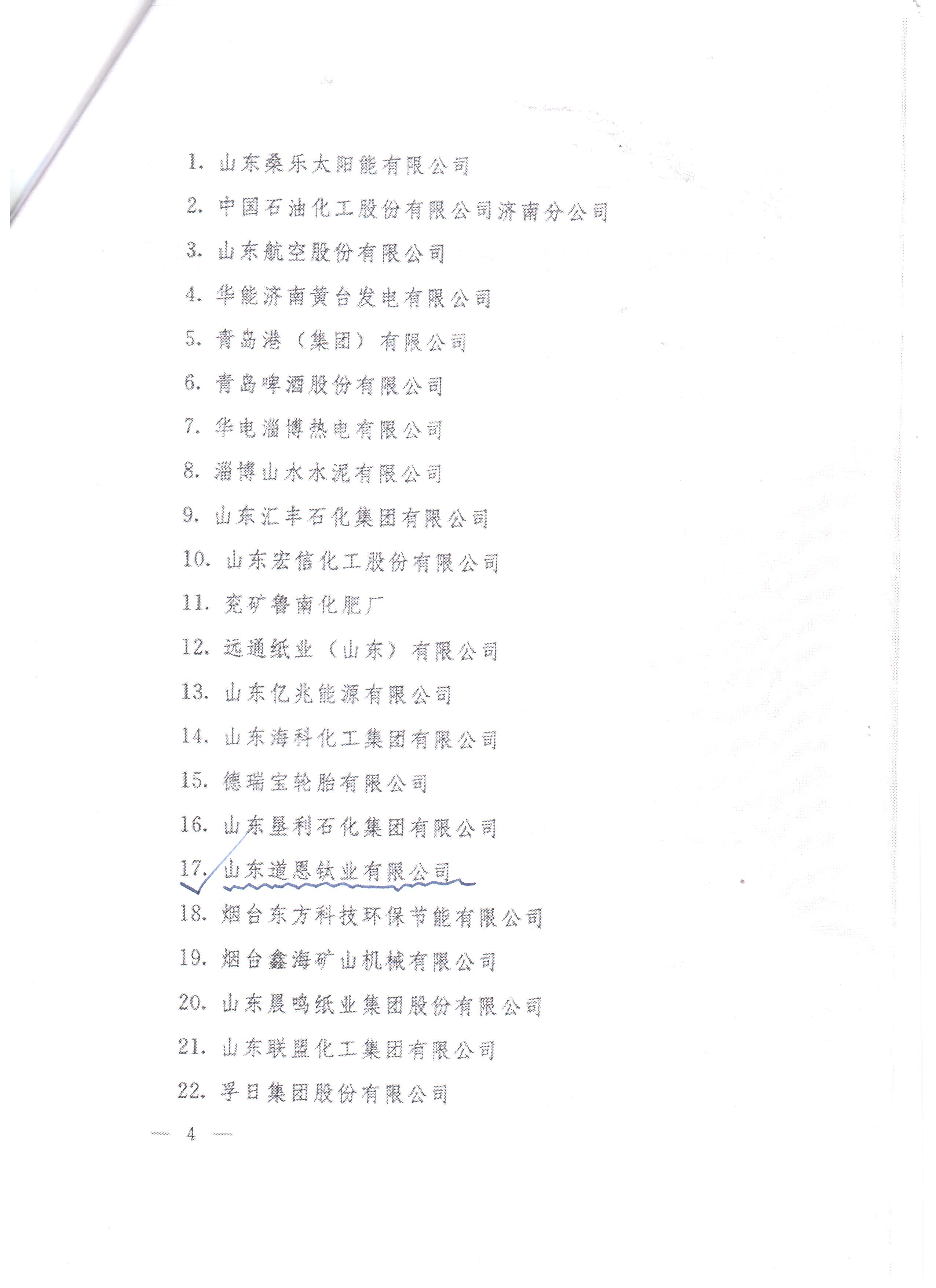 山东道恩钛业有限公司节能先进企业_4.png